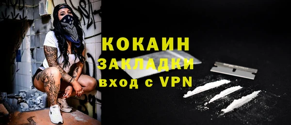 амф Дмитров
