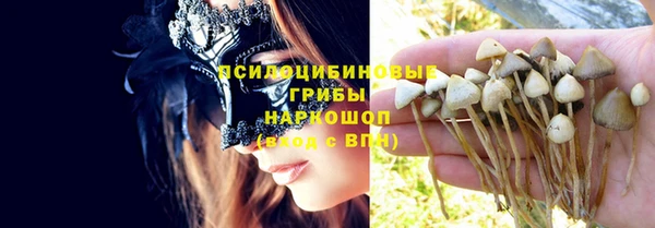 амф Дмитровск