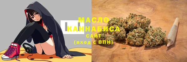 амф Дмитров
