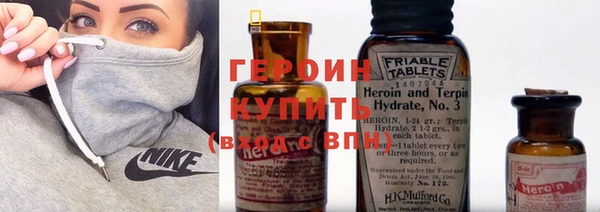 гидра Гусиноозёрск