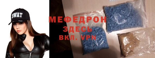 МДПВ Дмитриев