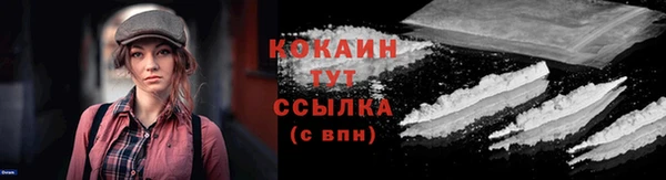 амф Дмитров