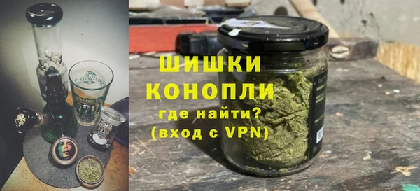 МДПВ Дмитриев
