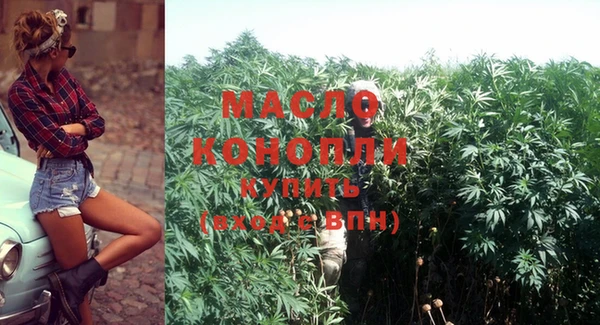 МДПВ Дмитриев