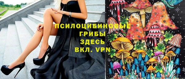 амф Дмитровск