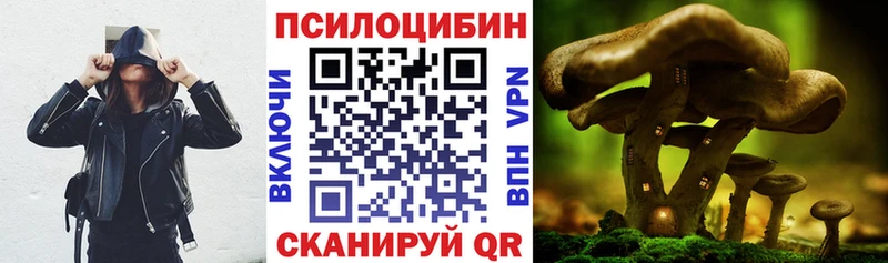 Псилоцибиновые грибы Magic Shrooms  Купить  Шебекино 